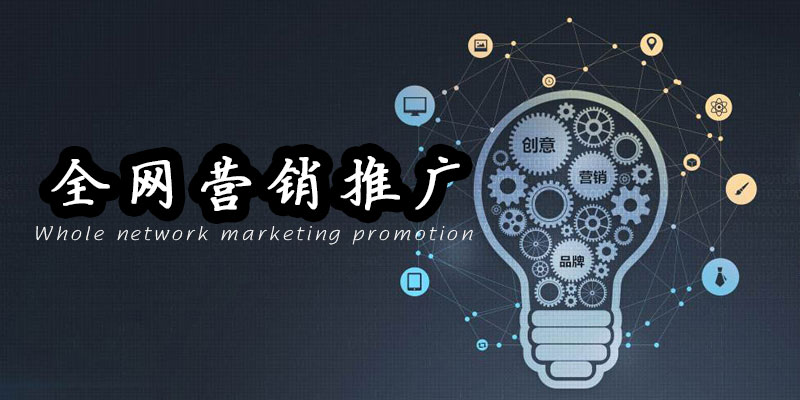 全网营销推广，打通企业多域获客渠道